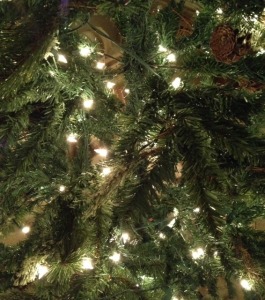 Christmas Tree 2014